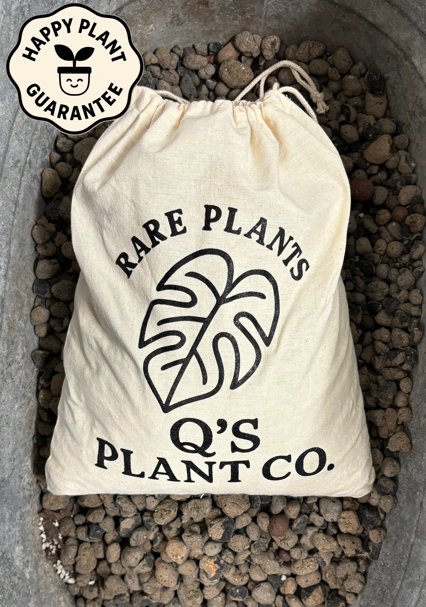 Thrive Combo (Boutique Soil Blend + Fertilizer)