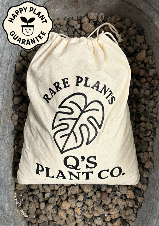 Thrive Combo (Boutique Soil Blend + Fertilizer)